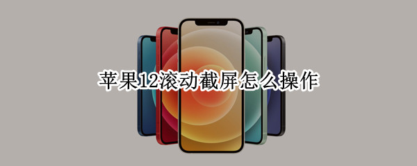 苹果12滚动截屏怎么操作 苹果12怎么一次性截长屏