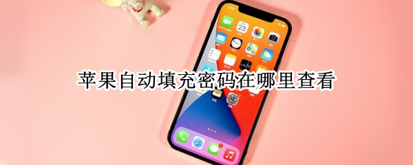 苹果自动填充密码在哪里查看（苹果怎么看自动填充密码）