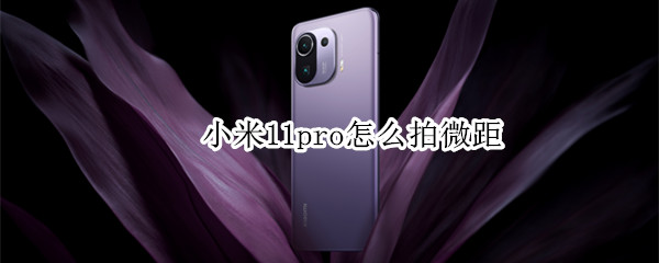 小米11pro怎么拍微距 小米11pro怎么拍微距照片