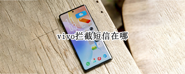 vivo拦截短信在哪（vivo拦截短信在哪设置）