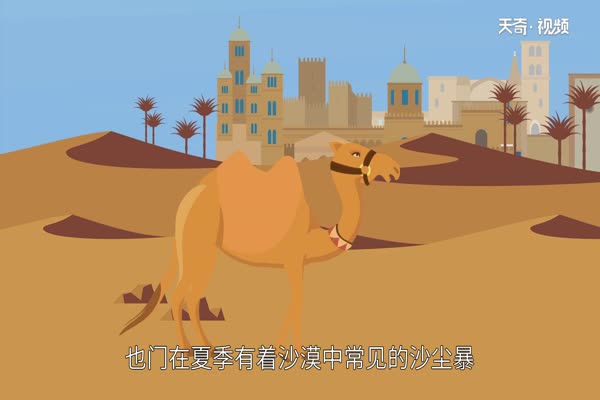 也门在哪里 也门在什么地方