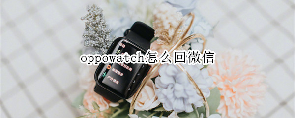 oppowatch怎么回微信（oppowatch支持微信回复吗）