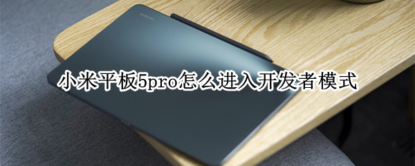 小米平板5pro怎么进入开发者模式 小米平板5pro开发者选项在哪里