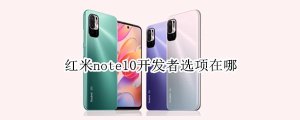 红米note10开发者选项在哪（红米note开发者选项在哪里）