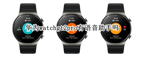 华为watchgt2pro支持语音助手吗 华为手表新款watch gt2pro支持语音吗