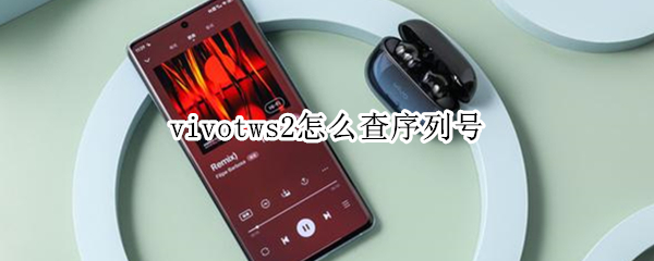 vivotws2怎么查序列号（vivotws2序列号有什么用）