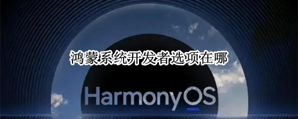 鸿蒙系统开发者选项在哪（鸿蒙系统怎么进开发者选项）