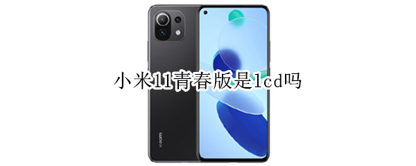 小米11青春版是lcd吗（小米11青春版是什么屏）