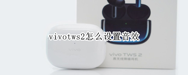 vivotws2怎么设置音效（vivoTWS2e支持音量调节吗）