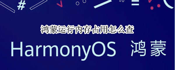 鸿蒙运行内存占用怎么查（鸿蒙系统如何查看内存占用）