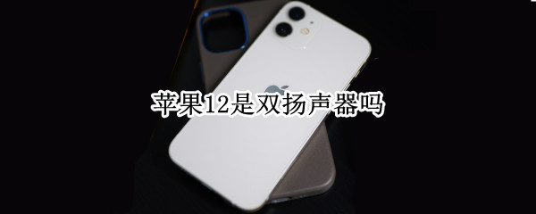 苹果12是双扬声器吗（苹果12是双扬声器吗怎么设置）
