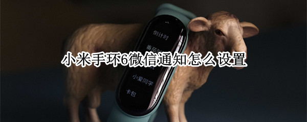 小米手环6微信通知怎么设置（小米手环6微信通知怎么设置安卓）