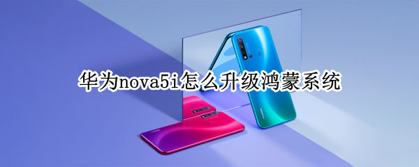 华为nova5i怎么升级鸿蒙系统（华为nova 5i能升级鸿蒙系统吗）