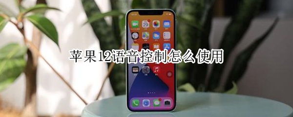 苹果12语音控制怎么使用（苹果12语音控制怎么使用手机）
