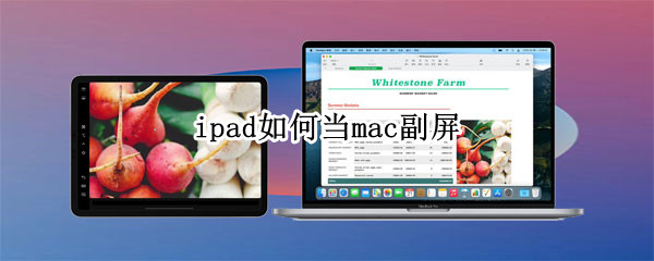 ipad如何当mac副屏 ipad如何当mac副屏软件