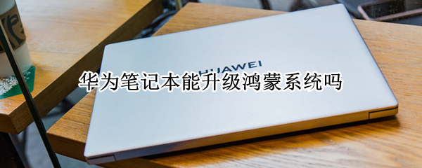 华为笔记本能升级鸿蒙系统吗 华为笔记本能升级鸿蒙系统吗知乎