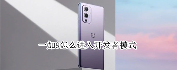 一加9怎么进入开发者模式（一加9怎么进入开发者模式）