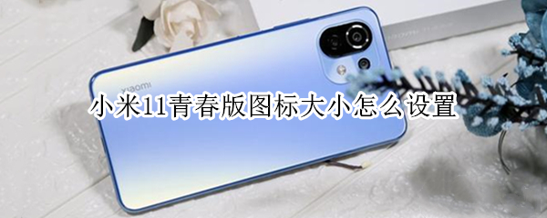 小米11青春版图标大小怎么设置 小米10青春版怎么设置图标大小
