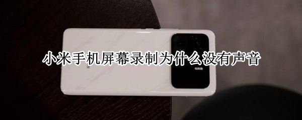 小米手机屏幕录制为什么没有声音（录屏没录到声音还能调出来么）