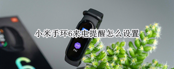 小米手环6来电提醒怎么设置 小米手环6来电提醒怎么设置的