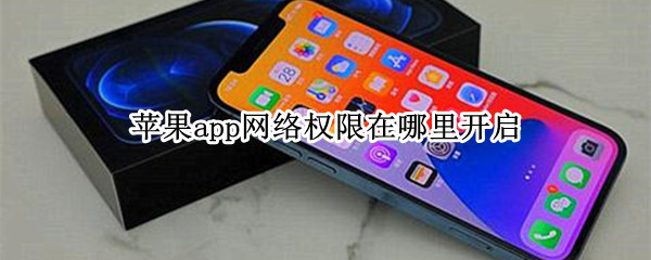 苹果app网络权限在哪里开启 苹果app网络权限在哪里开启