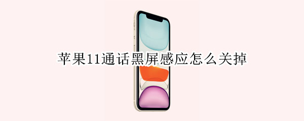 苹果11通话黑屏感应怎么关掉 苹果11电话屏幕感应老黑屏