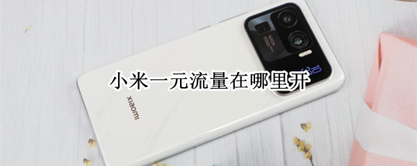 小米一元流量在哪里开（小米一元流量在哪里开的）