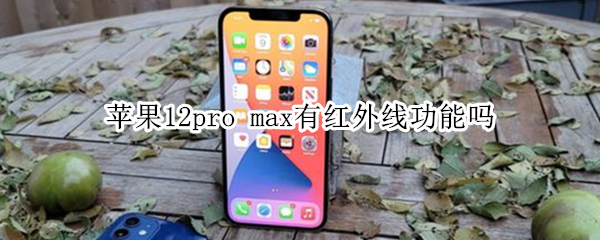 苹果12pro 苹果12pro max