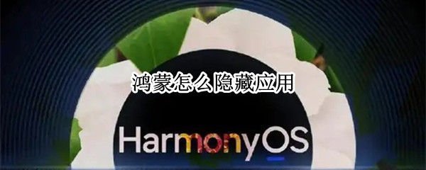 鸿蒙怎么隐藏应用（鸿蒙怎么隐藏应用图标）