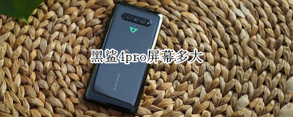 黑鲨4pro屏幕多大（黑鲨4pro屏占比多少）