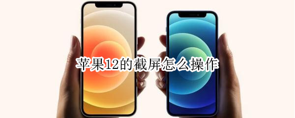 苹果12的截屏怎么操作 苹果12的截屏怎么操作小煎草鱼