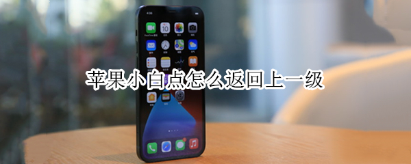 苹果小白点怎么返回上一级 苹果13怎么设置右滑返回