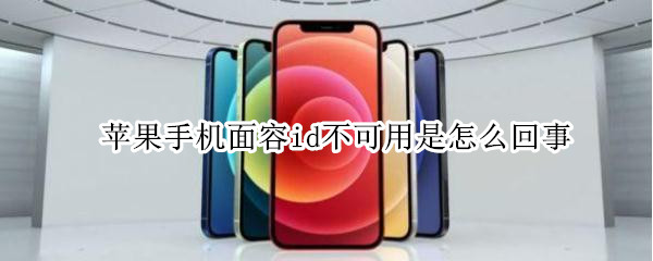 苹果手机面容id不可用是怎么回事（苹果手机面容id不可用怎么解决）
