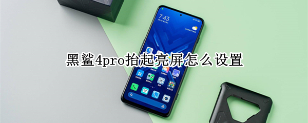 黑鲨4pro抬起亮屏怎么设置（黑鲨4pro升降键怎么设置）