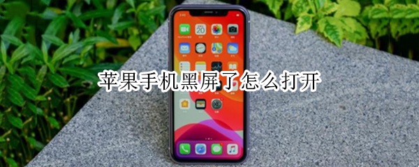 苹果手机黑屏了怎么打开 苹果手机黑屏怎么打开itunes