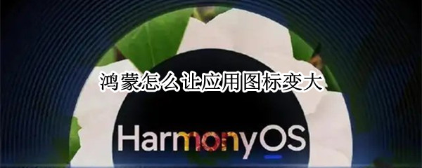 鸿蒙怎么让应用图标变大（鸿蒙怎么让应用图标变大点）