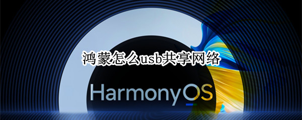 鸿蒙怎么usb共享网络 鸿蒙怎么usb共享网络数据
