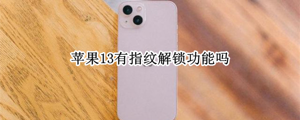 苹果13有指纹解锁功能吗 苹果13有指纹解锁功能吗视频