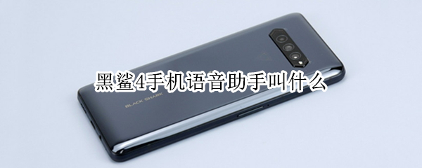 黑鲨4手机语音助手叫什么 黑鲨4手机语音助手叫什么名字