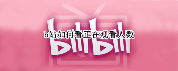 b站如何看正在观看人数 b站如何看正在观看人数ipad