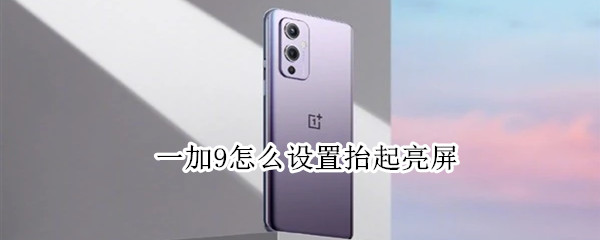 一加9怎么设置抬起亮屏（一加手机抬起来亮屏怎么设置）