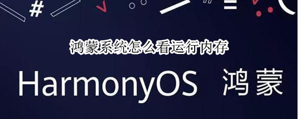 鸿蒙系统怎么看运行内存（鸿蒙系统怎么看运行内存情况）