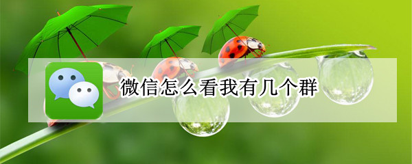 微信怎么看我有几个群 怎么看微信自己有几个群