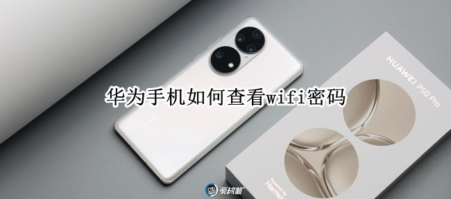华为手机如何查看wifi密码 华为手机查看wifi密码没有二维码怎么办