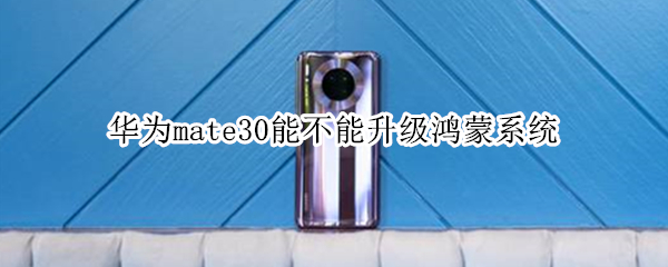 华为mate30能不能升级鸿蒙系统 华为mate30如何升级鸿蒙系统吗