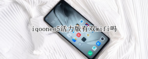 iqooneo5活力版有双wifi吗（iqooneo5有没有双WiFi）