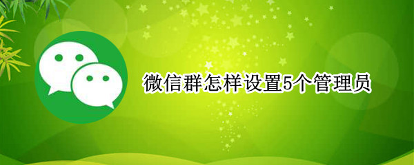 微信群怎样设置5个管理员（微信群怎样设置5个管理员头像）