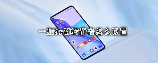 一加9r翻转静音怎么设置（一加9r翻转静音怎么设置方法）