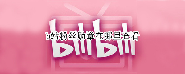 b站粉丝勋章在哪里查看（b站粉丝勋章在哪里查看到）