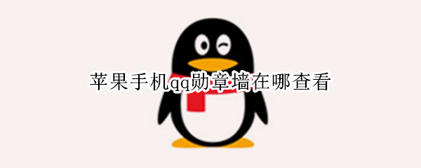 苹果手机qq勋章墙在哪查看（手机qq勋章墙在哪里看）